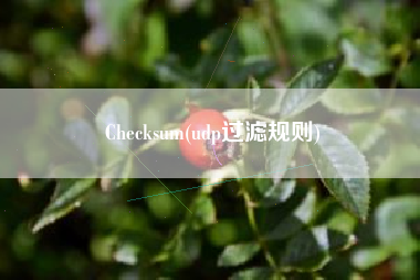 Checksum(udp过滤规则) Checksum(udp过滤规则)
