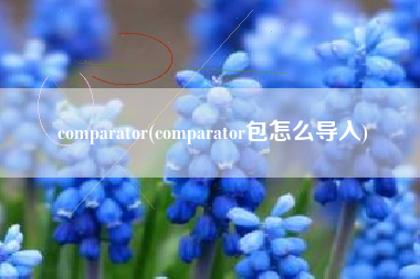 comparator(comparator包怎么导入)