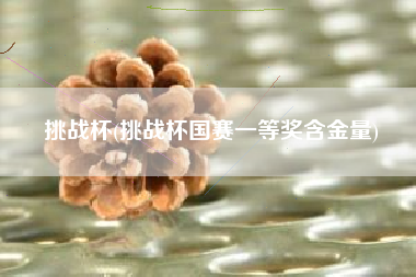 挑战杯(挑战杯国赛一等奖含金量)