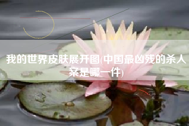 我的世界皮肤展开图(中国最凶残的杀人案是哪一件) 我的世界皮肤展开图(中国最凶残的杀人案是哪一件)