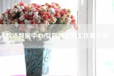 双活数据中心(互联网公司工作累不累) 双活数据中心(互联网公司工作累不累)