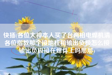 快插(各位大神本人买了台两相电焊机清各位指教那个接地柱和输出负极怎么接输出负极接在焊件上吗那那)