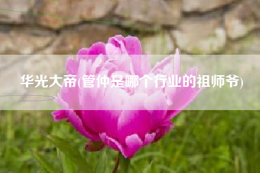 华光大帝(管仲是哪个行业的祖师爷)