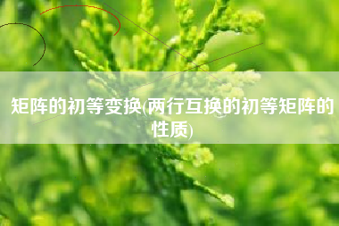 矩阵的初等变换(两行互换的初等矩阵的性质) 矩阵的初等变换(两行互换的初等矩阵的性质)