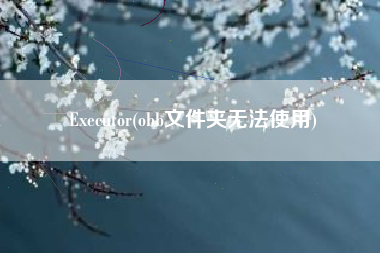 Executor(obb文件夹无法使用)