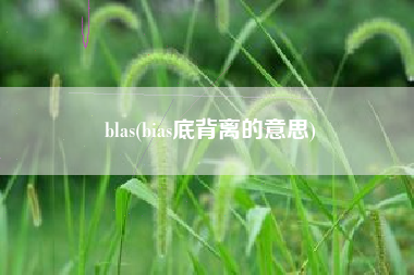 blas(bias底背离的意思) blas(bias底背离的意思)