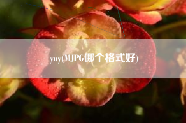 yuy(MJPG哪个格式好) yuy(MJPG哪个格式好)