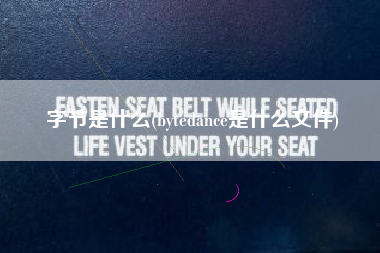 字节是什么(bytedance是什么文件)