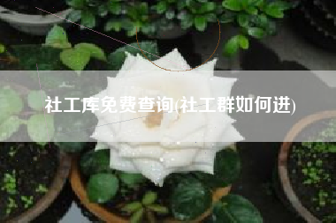 社工库免费查询(社工群如何进)