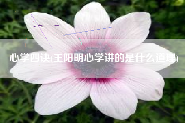 心学四诀(王阳明心学讲的是什么道理)