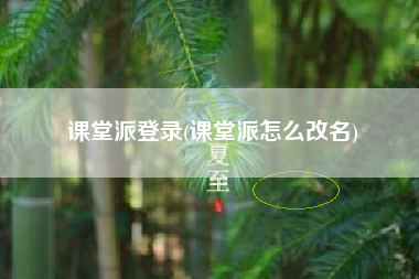 课堂派登录(课堂派怎么改名) 课堂派登录(课堂派怎么改名)