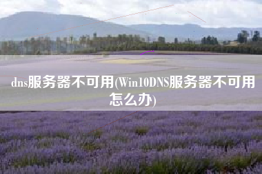 dns服务器不可用(Win10DNS服务器不可用怎么办)