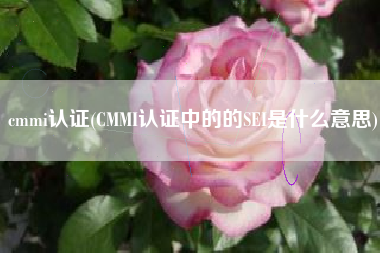 cmmi认证(CMMI认证中的的SEI是什么意思) cmmi认证(CMMI认证中的的SEI是什么意思)