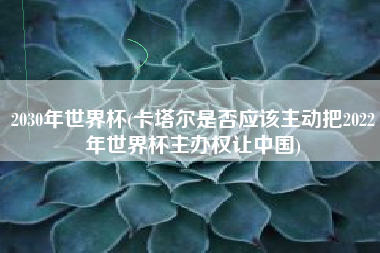 2030年世界杯(卡塔尔是否应该主动把2022年世界杯主办权让中国)