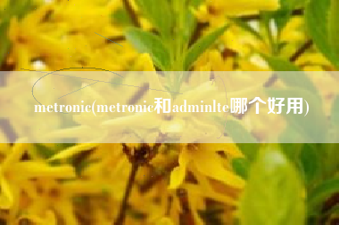 metronic(metronic和adminlte哪个好用) metronic(metronic和adminlte哪个好用)