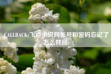 CALLBACK(飞卢小说网帐号和密码忘记了怎么找回) CALLBACK(飞卢小说网帐号和密码忘记了怎么找回)