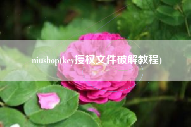 niushop(key授权文件破解教程)