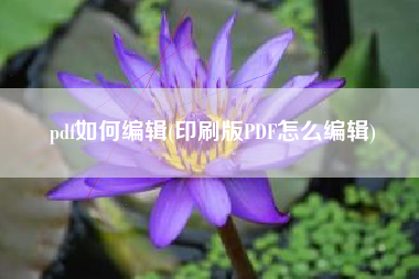 pdf如何编辑(印刷版PDF怎么编辑)