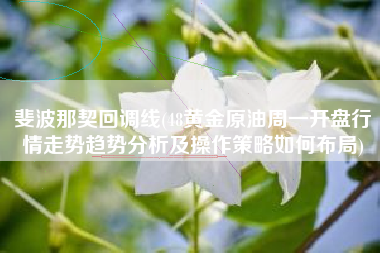 斐波那契回调线(48黄金原油周一开盘行情走势趋势分析及操作策略如何布局)