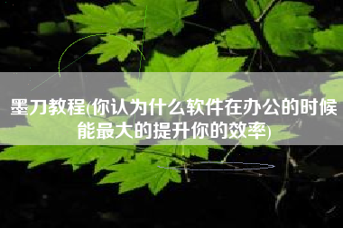 墨刀教程(你认为什么软件在办公的时候能最大的提升你的效率)