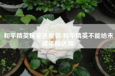 和平精英玩家送服装(和平精英不能给未成年赠送嘛)