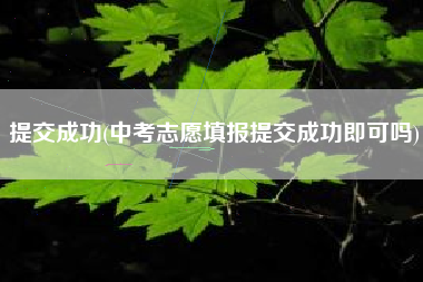 提交成功(中考志愿填报提交成功即可吗)