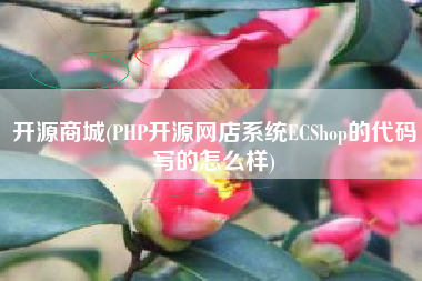 开源商城(PHP开源网店系统ECShop的代码写的怎么样)