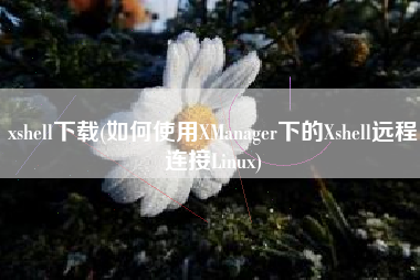 xshell下载(如何使用XManager下的Xshell远程连接Linux)