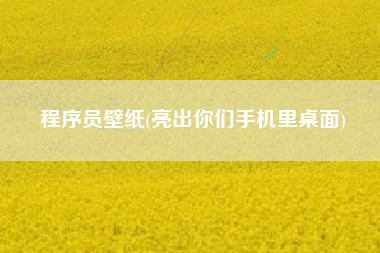 程序员壁纸(亮出你们手机里桌面)