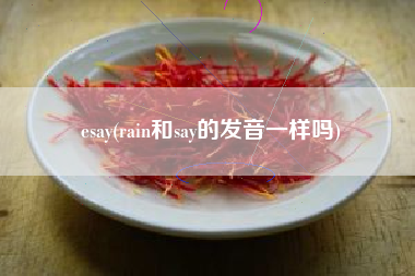 esay(rain和say的发音一样吗)