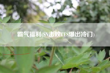 霸气福利(SN击败TES爆出冷门)