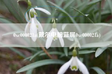 0xc000021a(戴尔电脑蓝屏0xc000021a)