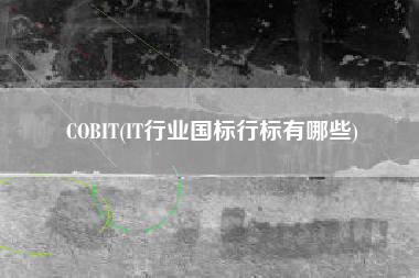 COBIT(IT行业国标行标有哪些)