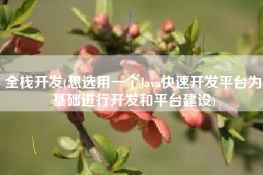 全栈开发(想选用一个Java快速开发平台为基础进行开发和平台建设)