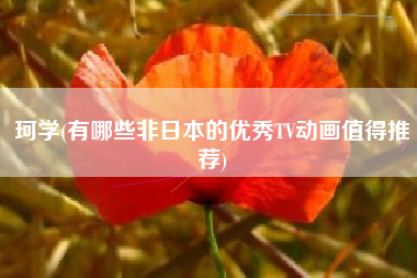 珂学(有哪些非日本的优秀TV动画值得推荐)