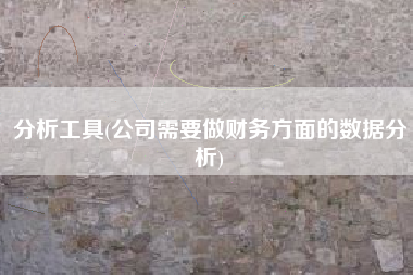 分析工具(公司需要做财务方面的数据分析)