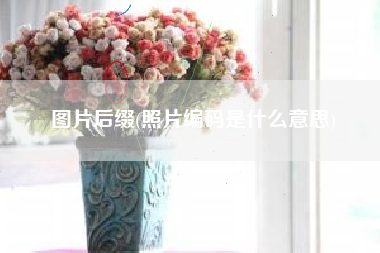 图片后缀(照片编码是什么意思)