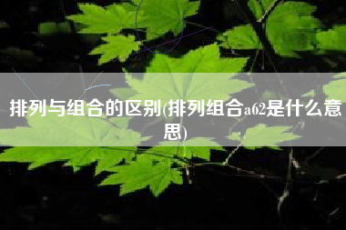 排列与组合的区别(排列组合a62是什么意思)