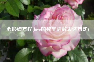 心形线方程(love的数学函数表达方式)