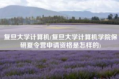 复旦大学计算机(复旦大学计算机学院保研夏令营申请资格是怎样的)