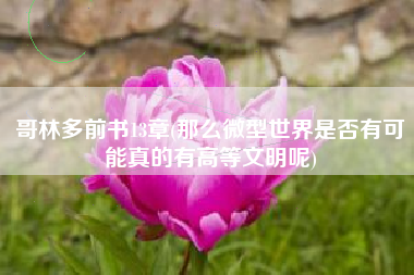 哥林多前书13章(那么微型世界是否有可能真的有高等文明呢)