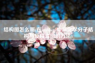结构图怎么画(在wordwps中画化学分子结构与反应式图的方法)