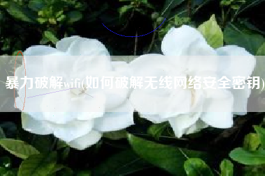 暴力破解wifi(如何破解无线网络安全密钥)
