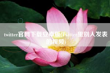 twitter官网下载安卓版(Twitter里别人发表的视频)