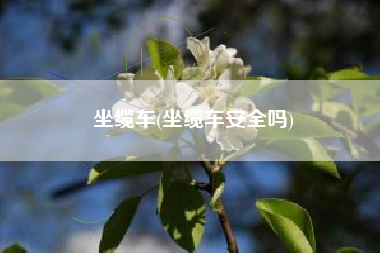 坐缆车(坐缆车安全吗)