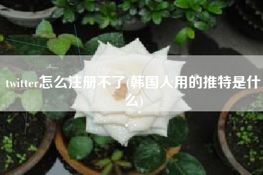 twitter怎么注册不了(韩国人用的推特是什么)