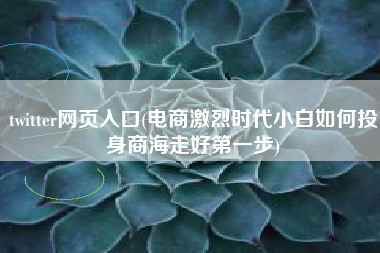 twitter网页入口(电商激烈时代小白如何投身商海走好第一步)
