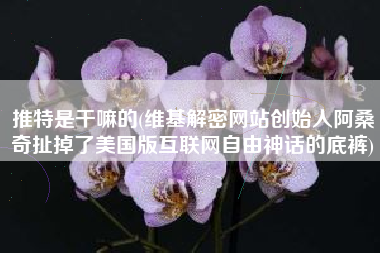 推特是干嘛的(维基解密网站创始人阿桑奇扯掉了美国版互联网自由神话的底裤)