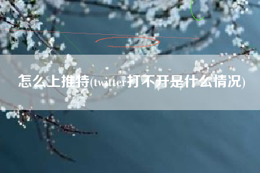 怎么上推特(twitter打不开是什么情况)