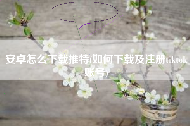 安卓怎么下载推特(如何下载及注册tiktok账号)
